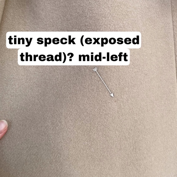 MANGO NWOT Neutral Camel Beige Long Double Breasted Virgin Italian Wool Coat S - Picture 12 of 16